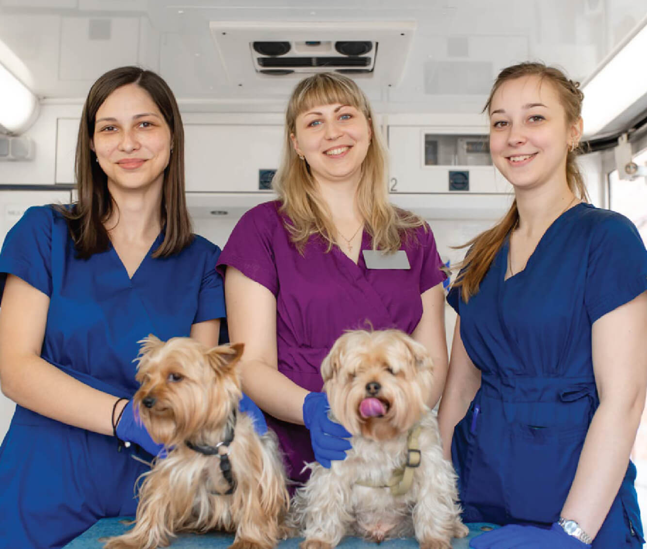dog grooming team at Hound therapy