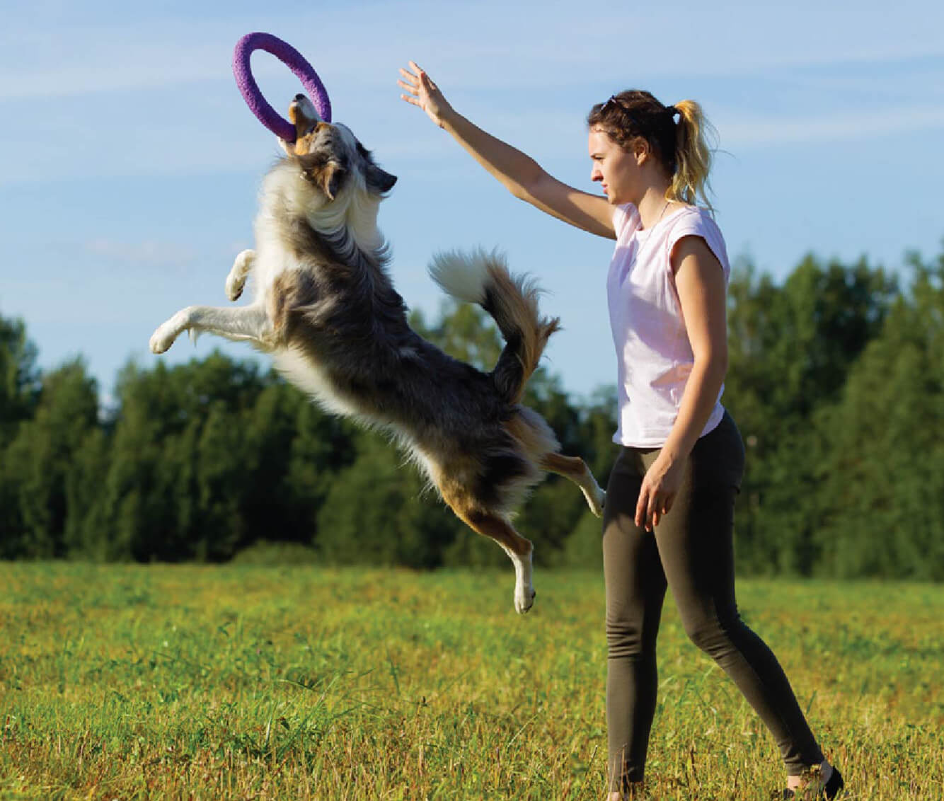 dog trainer in plano